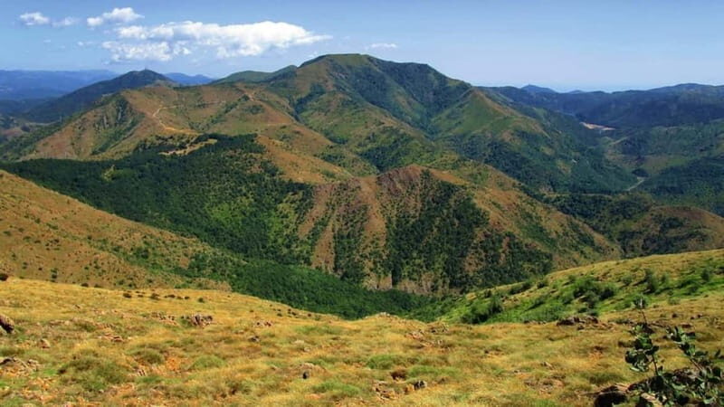 Capanne di Marcarolo Park: hiking on Mount Tobbio - The Experience Provider: Escursì