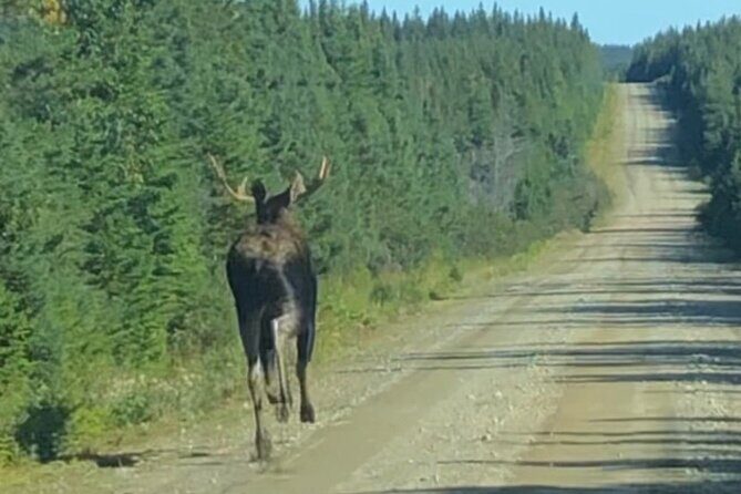 Cape Breton Waterfall Jeep Excursion - Biggest Waterfall in NS - FAQs