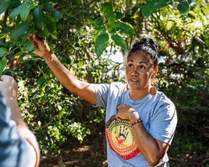 Cape Byron Aboriginal Tour - Key Points