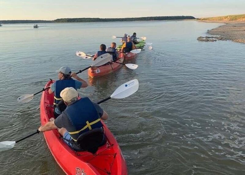 Cape Cod: Explorer Kayak Tour - Key Points