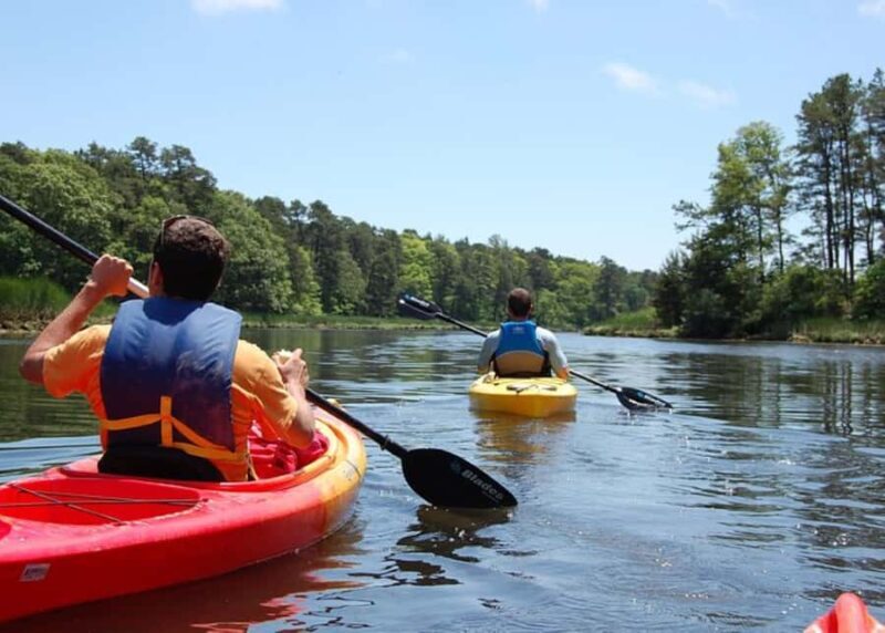 Cape Cod: Explorer Kayak Tour - A Deep Dive into the Cape Cod Explorer Kayak Tour