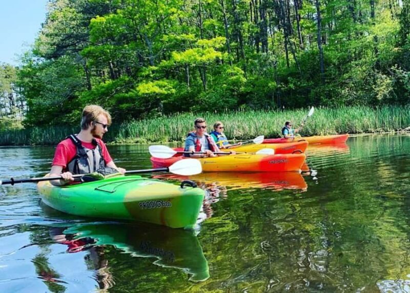 Cape Cod: Explorer Kayak Tour - The Sum Up