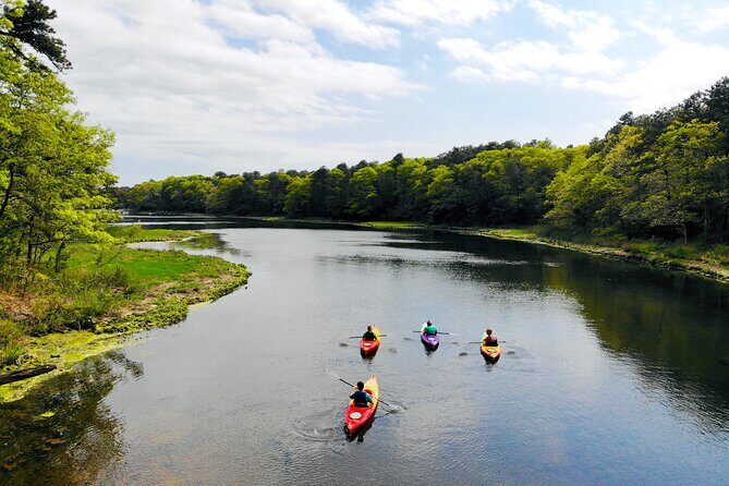 Cape Cod Kayak Rentals in Popponesset Bay Mashpee - The Sum Up: Who Will Love This Experience?
