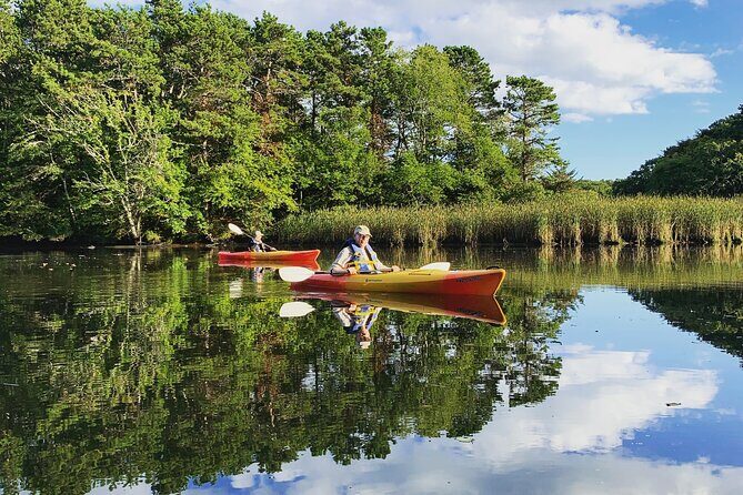 Cape Cod Kayak Rentals in the Great Marsh - Frequently Asked Questions