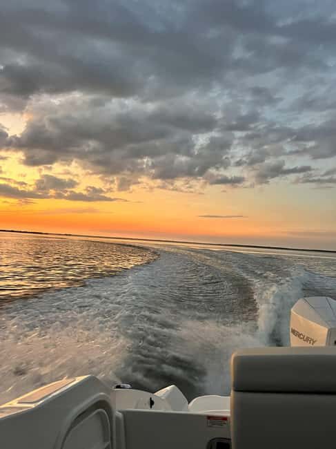 Cape Coral: Private Dolphin and Sunset Cruise - Key Points