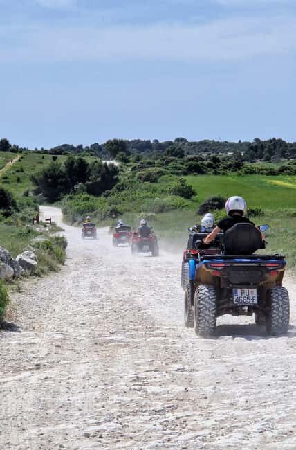 Cape Kamenjak Quad Safari 2.5h Cliff Jump & Safari Bar - Key Points