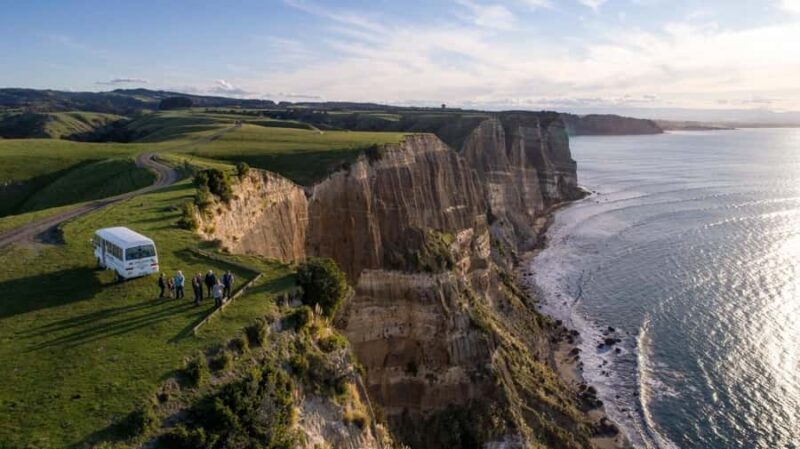 Cape Kidnappers Gannet Colony Private Tour - An In-Depth Look at the Cape Kidnappers Gannet Colony Private Tour