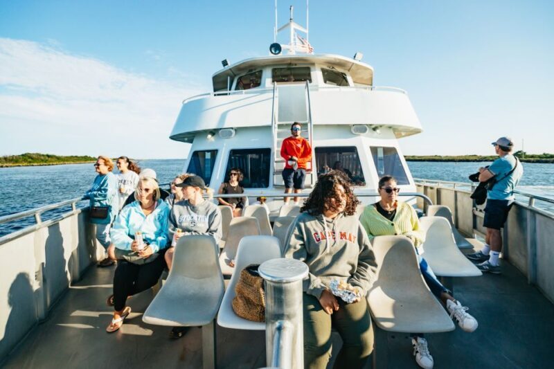Cape May: Cape May Island Sunset Cruise & Dolphin Watching - In-Depth Review of the Cape May Sunset & Dolphin Watching Cruise