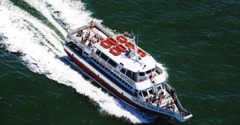 Cape May: Grand Lighthouse Cruise - Exploring the Tour: What to Expect from Start to Finish