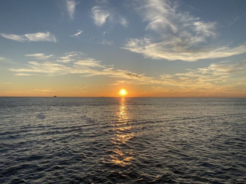 Cape May: Sunset Dolphin Watching Cruise with Food - Who Will Love This Experience?