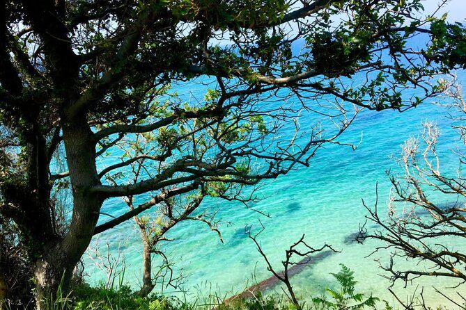 Cape of Rodon & Bunkers Day Tour Adventure from Durres - The Value of This Experience