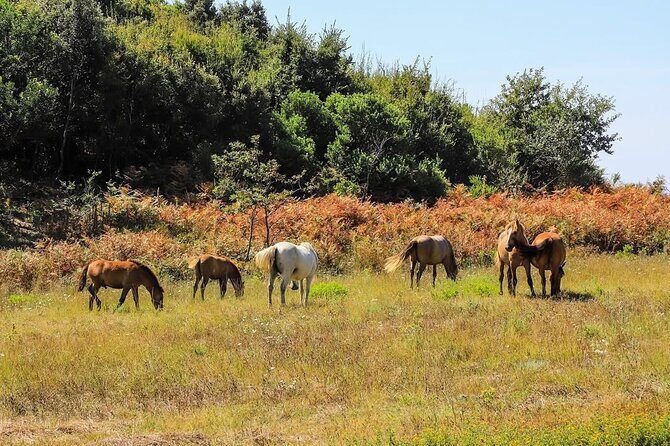 Cape of Rodon & Bunkers Day Tour Adventure from Durres - Who Will Enjoy This Tour?