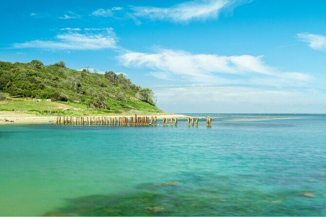 Cape of Rodon Full-Day Private Tour from Tirana - Who Would Love This Tour?