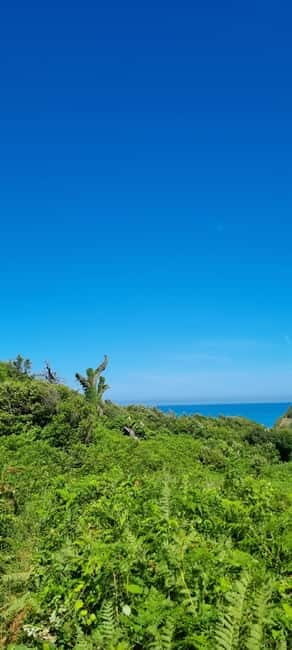 Cape of Rodon, Hiking to Castle, Beach, Wine testing tour! - Why This Tour Offers Great Value