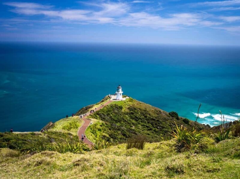 Cape Reinga: Day Trip from Paihia, Kerikeri, or Kaitaia - Discovering the North Island’s Natural Wonders