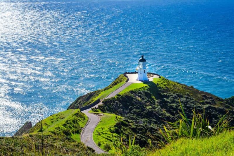Cape Reinga: Day Trip from Paihia, Kerikeri, or Kaitaia - Who Will Love This Tour?