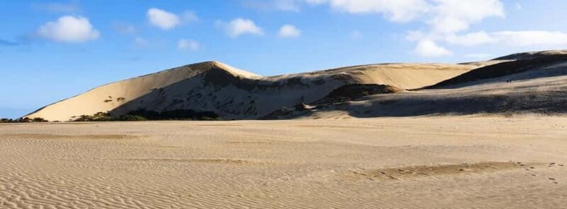 Cape Reinga: Day Trip from Paihia, Kerikeri, or Kaitaia - Final Thoughts