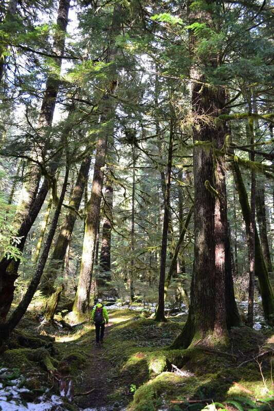 Cape Scott: San Josef Bay Day Hike with Scenic Drive - Key Points