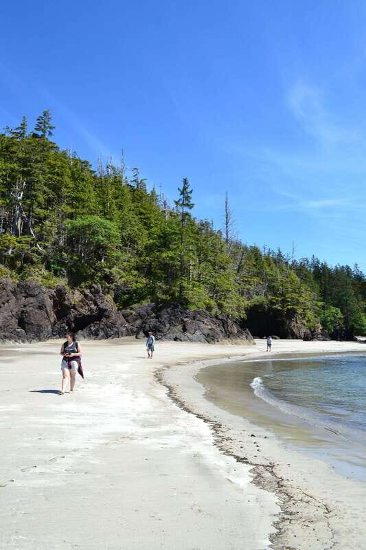 Cape Scott: San Josef Bay Day Hike with Scenic Drive - FAQ