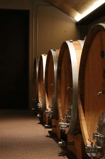 Cape Sounion: Dream Wine Taste & Sounio Tour with tickets - Final Thoughts