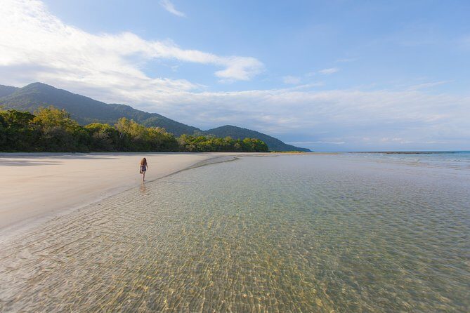 Cape Tribulation & Daintree Wilderness (TCT) - Who Would Love This Tour?