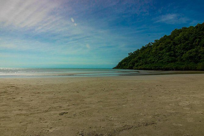 Cape Tribulation Day Tour - The Sum Up