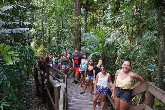 Cape Tribulation Day Tour from Cairns - Key Points