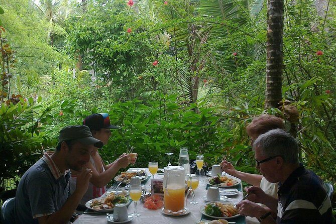 Cape Tribulation, Mossman Gorge and Daintree Rainforest Day Tour - The Itinerary in Detail