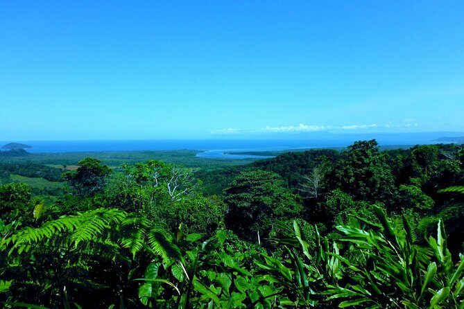 Cape Tribulation, Mossman Gorge and Daintree Rainforest Day Tour - Who Should Consider This Tour?