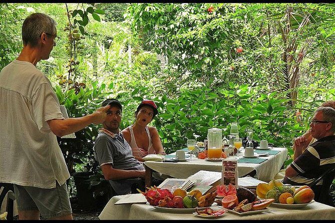 Cape Tribulation, Mossman Gorge and Daintree Rainforest Day Tour - Wrapping Up: Is This Tour Worth It?