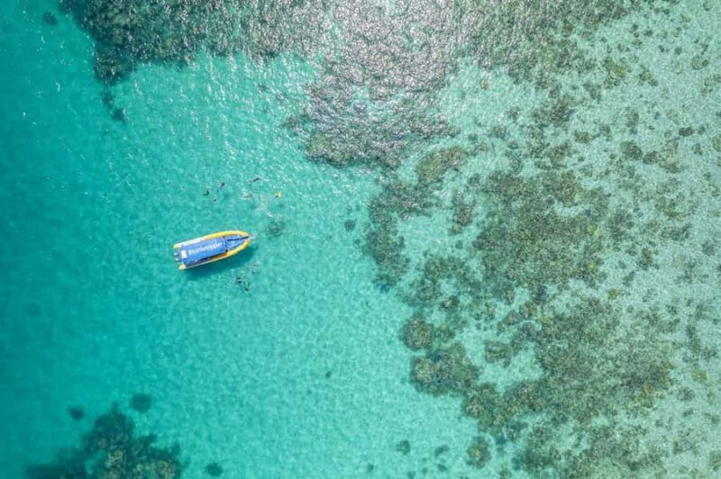 Cape Tribulation Ocean Safari - Great Barrier Reef Adventure - Key Points