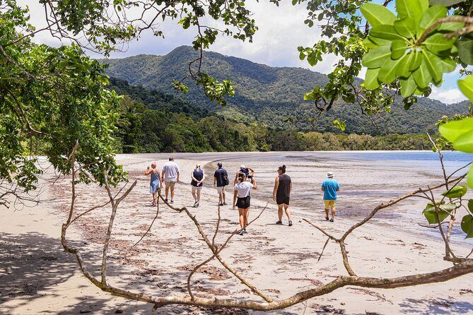 Cape Tribulation & Ziplining: Ultimate Daintree - Discovering the Daintree: What to Expect