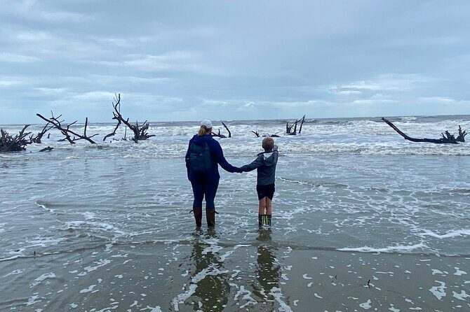 Capers Island Wildlife Exploration - Final Thoughts: Who Will Love This Tour?