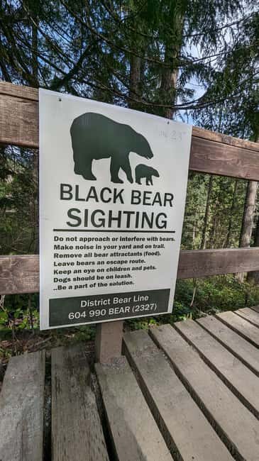 Capilano Br+Granville Isl+Capilano Hatchery+Lynn Canyon Tour - What to Expect from This Vancouver Day Tour