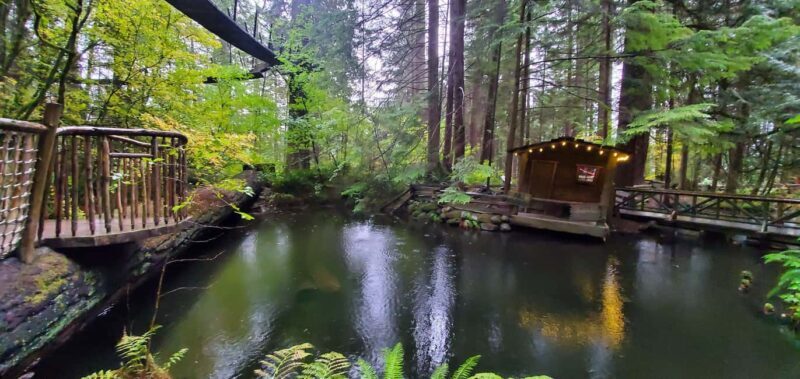 Capilano Br+Granville Isl+Capilano Hatchery+Lynn Canyon Tour - The Sum Up