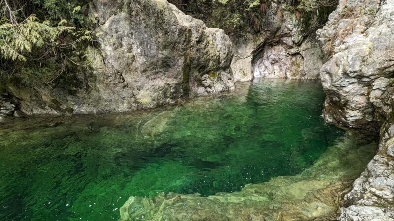 Capilano Br+Granville Isl+Capilano Hatchery+Lynn Canyon Tour - FAQs