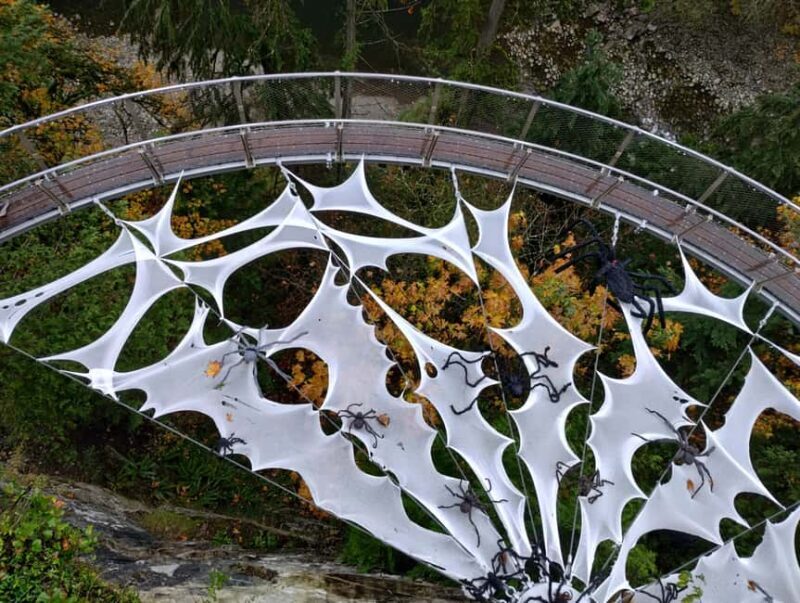 CAPILANO BR+GROUSE Mtn+STANLEY P+DAM+LAKE+HATCHERY/CAR/9in1 - Why Youll Love This Tour: An Honest Look