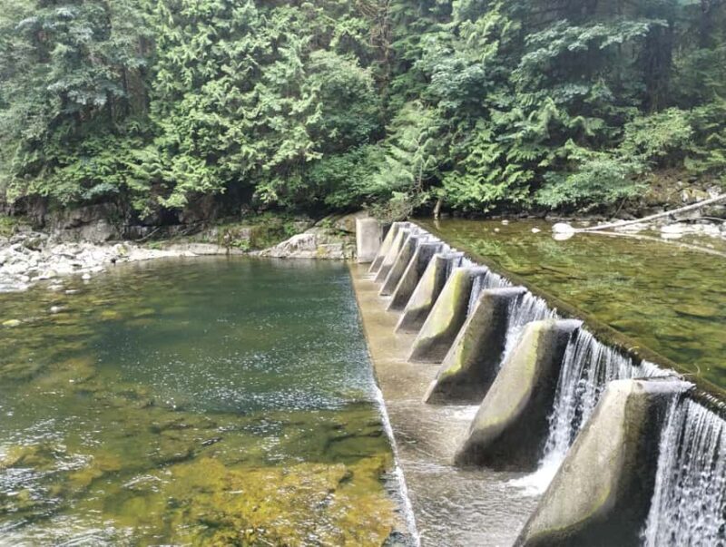 CAPILANO BR+GROUSE Mtn+STANLEY P+DAM+LAKE+HATCHERY/CAR/9in1 - What’s Included and What’s Not