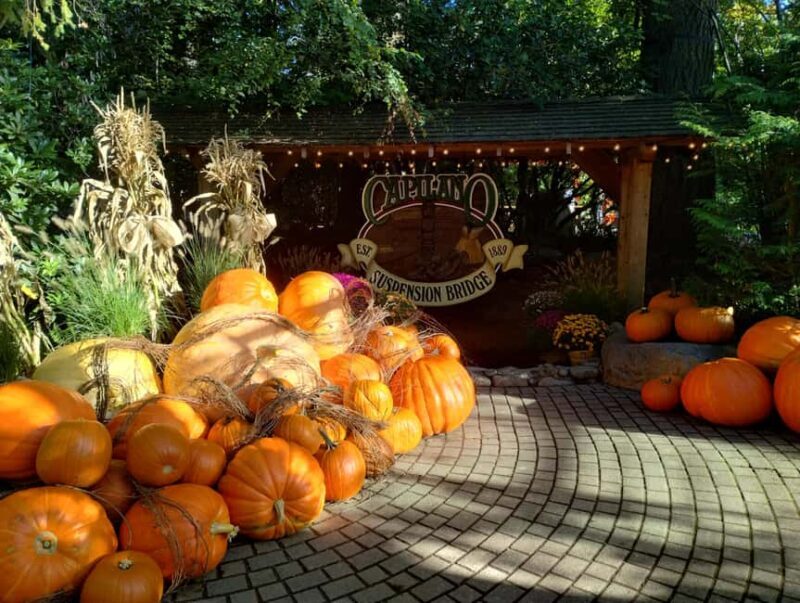 CAPILANO BR+GROUSE Mtn+STANLEY P+DAM+LAKE+HATCHERY/CAR/9in1 - Practical Considerations