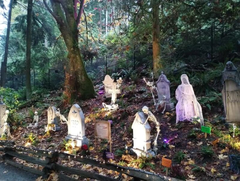 CAPILANO BR+GROUSE Mtn+STANLEY P+DAM+LAKE+HATCHERY/CAR/9in1 - Final Thoughts: Who Will Love This Tour?