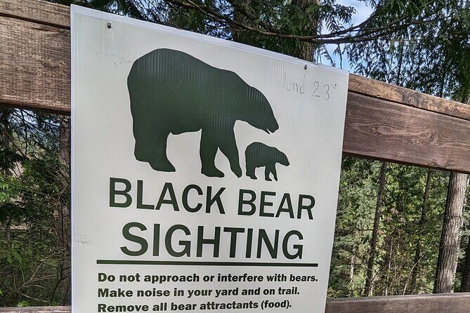 Capilano Bridge+Granville Isl+ Capilano Hatchery+Lynn Canyon Tour - Authentic Traveler Insights