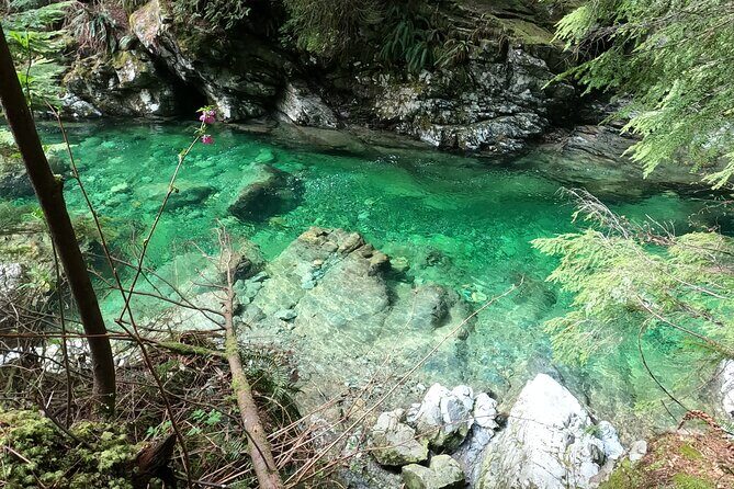 Capilano Bridge+Granville Isl+ Capilano Hatchery+Lynn Canyon Tour - The Sum Up