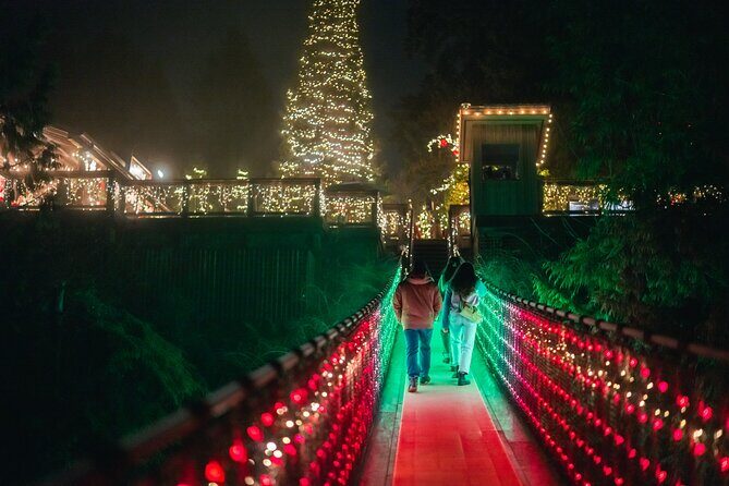 Capilano Suspension Bridge Canyon Lights Tour - Who Will Love This Tour?