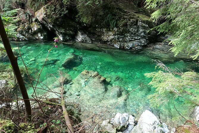 Capilano Suspension Bridge, Lynn Canyon & Capilano Hatchery Tour - Why This Tour Offers Great Value