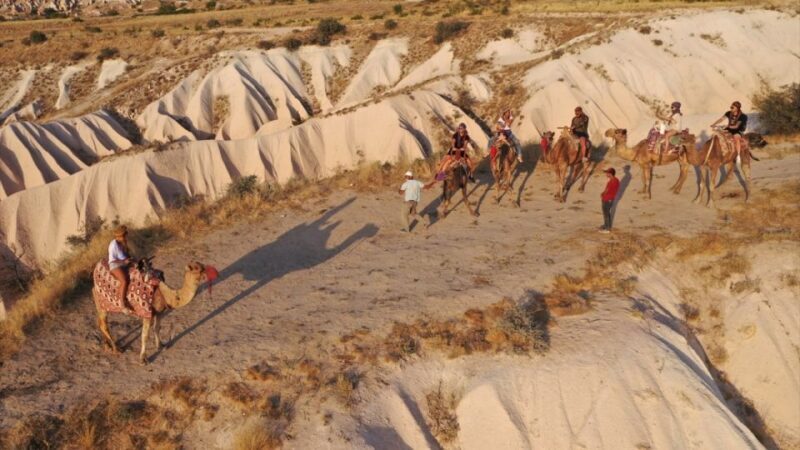 Cappadoca Camel Ride - An In-Depth Look at the Cappadocia Camel Ride Experience