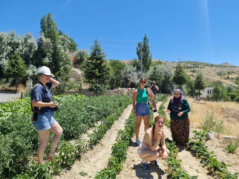 Cappadocia: Beekeeping Experience with Honey Tasting - Exploring the Beekeeping Experience in Cappadocia