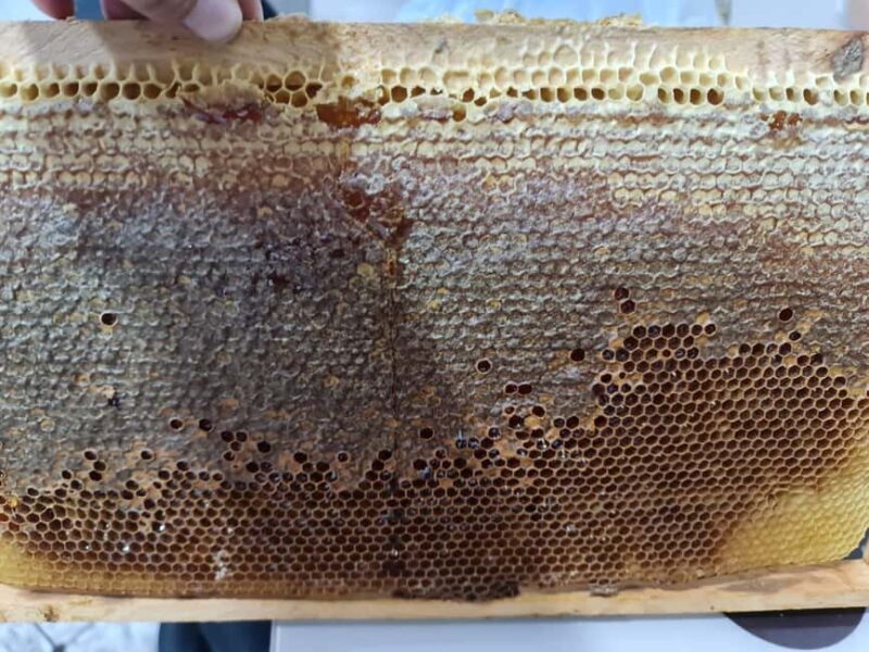 Cappadocia: Beekeeping Experience with Honey Tasting - Why This Tour Works