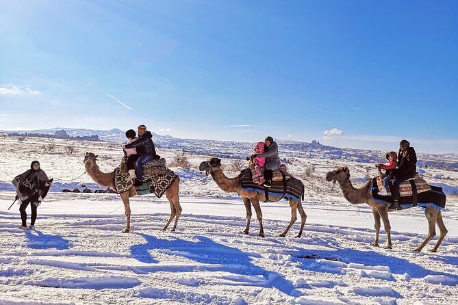 Cappadocia Camel Ride Tour - The Value and Price Point