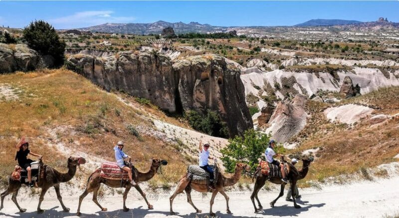 Cappadocia: Camel Safari with Hotel Transfer - Who Will Love This Tour?