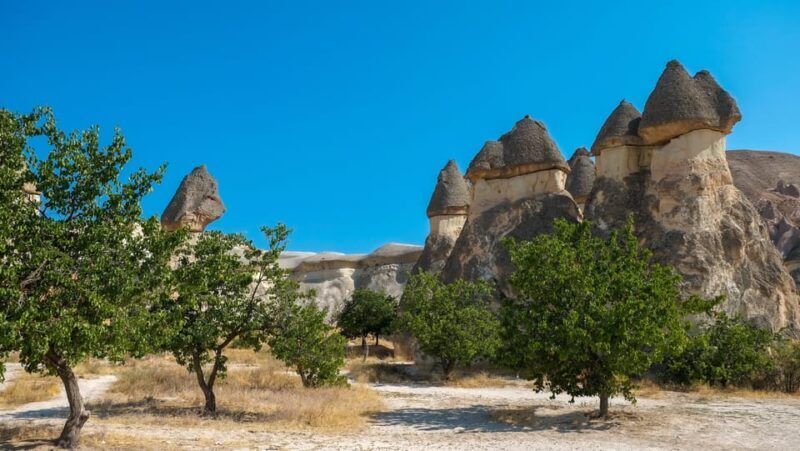 Cappadocia Excursion: Full-Day South Tour with Expert Guide - A Closer Look at the Itinerary